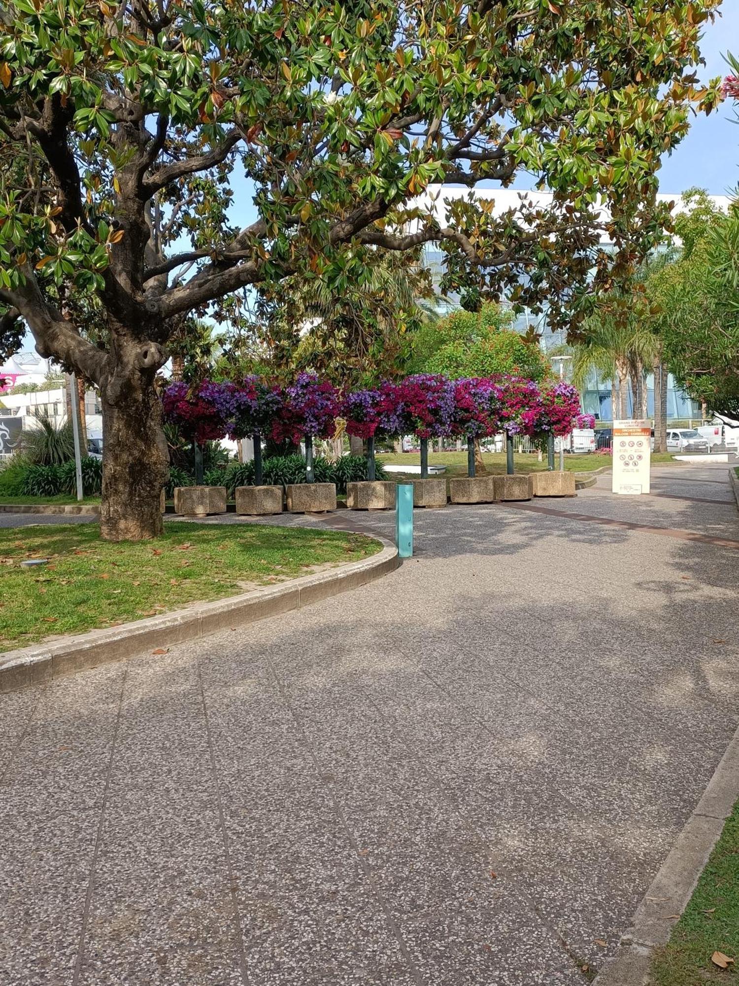 דירות קאן Gallieni מראה חיצוני תמונה